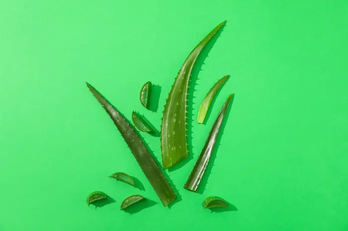 Manfaat Lidah Buaya untuk Kesehatan Rambut dan Cara Penggunaannya